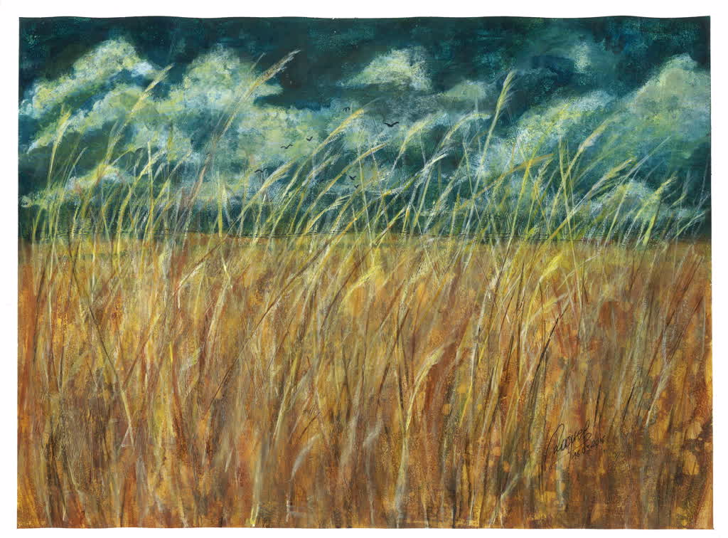 Campo de Trigo